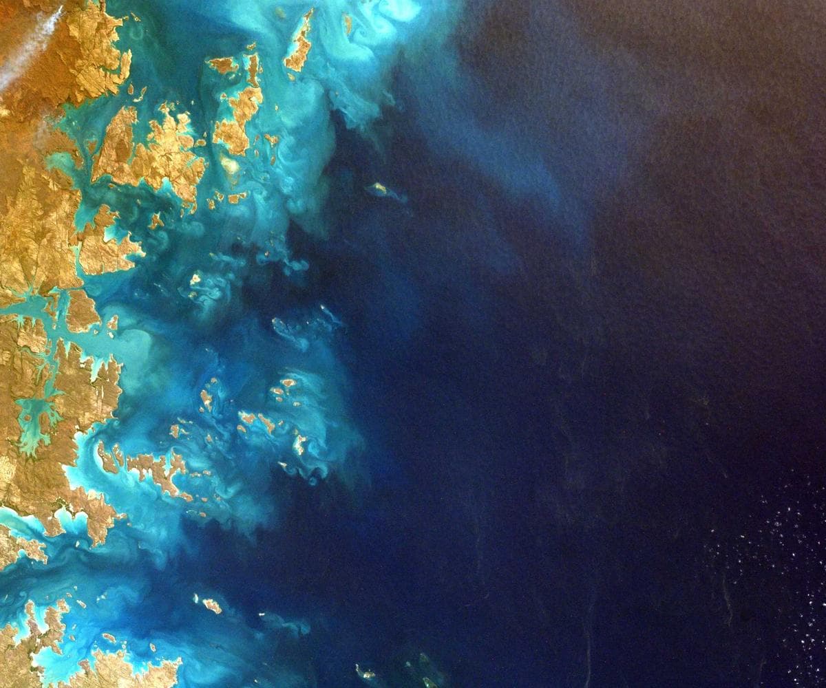 Abstract neural network